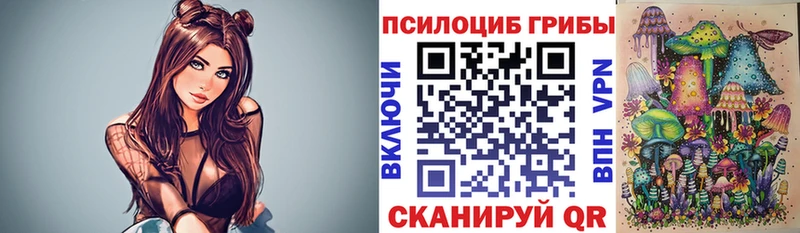 Псилоцибиновые грибы Psilocybine cubensis  ОМГ ОМГ онион  Кимовск 